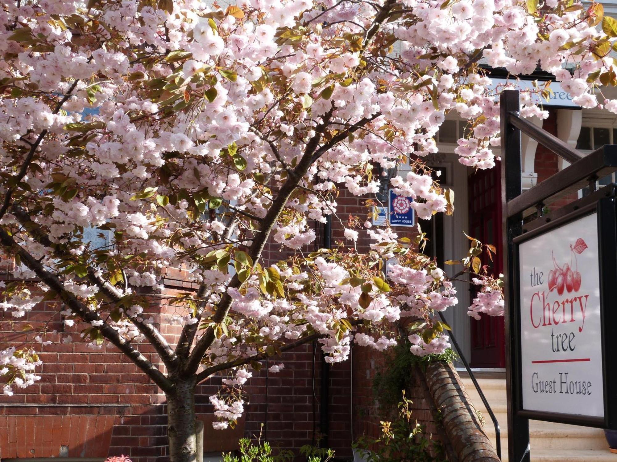 The Cherry Tree Guest House WTA-toernooi van WTA-toernooi van Eastbourne Buitenkant foto